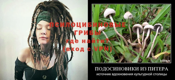 MDMA Медногорск