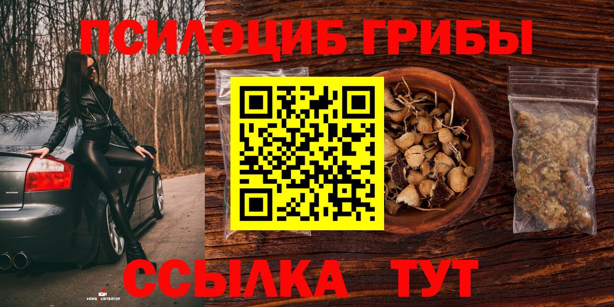 Псилоцибиновые грибы Cubensis Шумерля