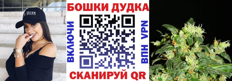 blacksprut ссылки  Шумерля  МАРИХУАНА сатива 